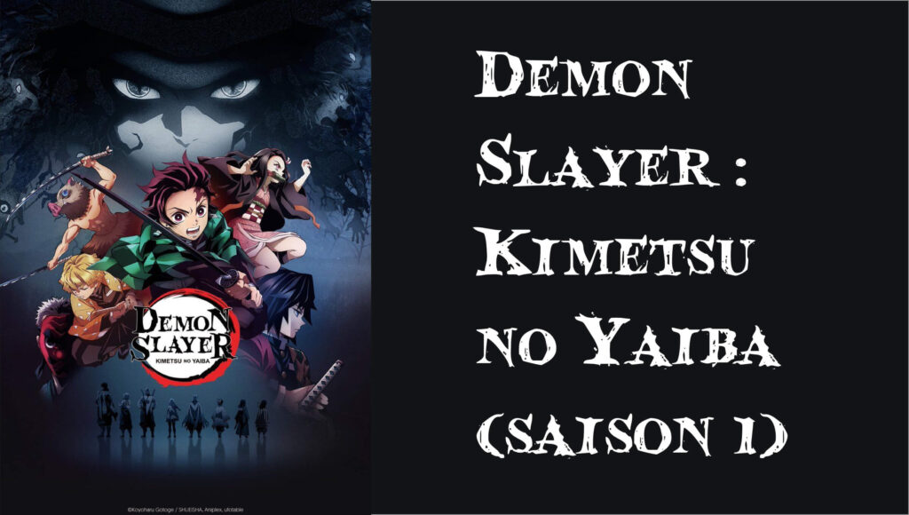 Demon Slayer : Kimetsu no Yaiba (saison 1) - Demon Slayer